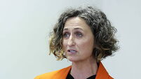SINN FEIN; SENATORLYNN BOYLAN; EUROPEAN PARLIAMENT ELECTIONS; MANIFESTO