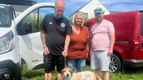 Zodiac Jack of Southern/Carrigaline Harriers wins two races in 24 hours in two different countries