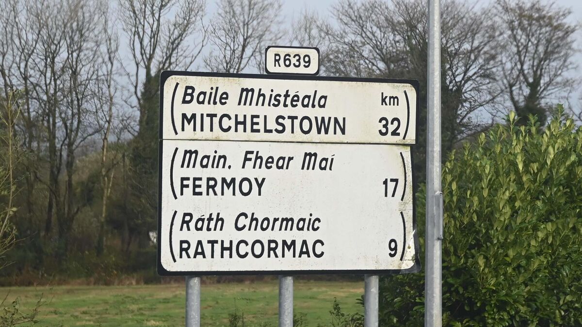 IC Mitchelstown death