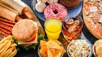 Foods enhancing the risk of cancer. Junk food