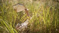 Woman lying in long grass reading book
