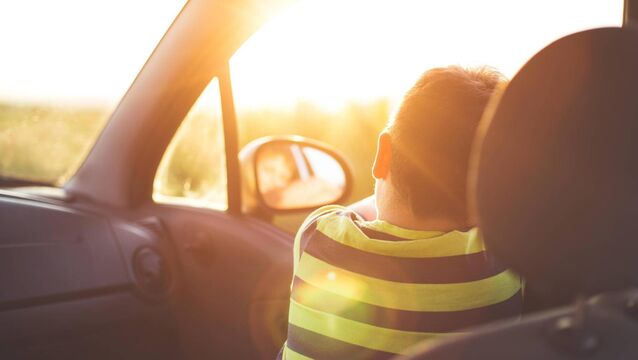 <p>When we sign up for a camp, I often initially need to explain how I will get into the building or how Ricky will come in and out by himself after the first day. Picture: iStock</p>
