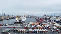 Domestic economy continues to perform despite global challenges — ESRI