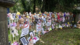 <p>The gates of the Bessborough Mother and Baby Home, Blackrock, Cork were covered with teddy bears during a vigil in March, which saw scores of people gather to protest Cork City Council’s approval of 140 apartments despite concerns over the burial places of 923 children. Picture: Chani Anderson.</p>