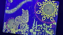 New UV artwork in Irish passport with increased security