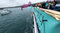 Plan for controversial Kinsale mussel farm is withdrawn