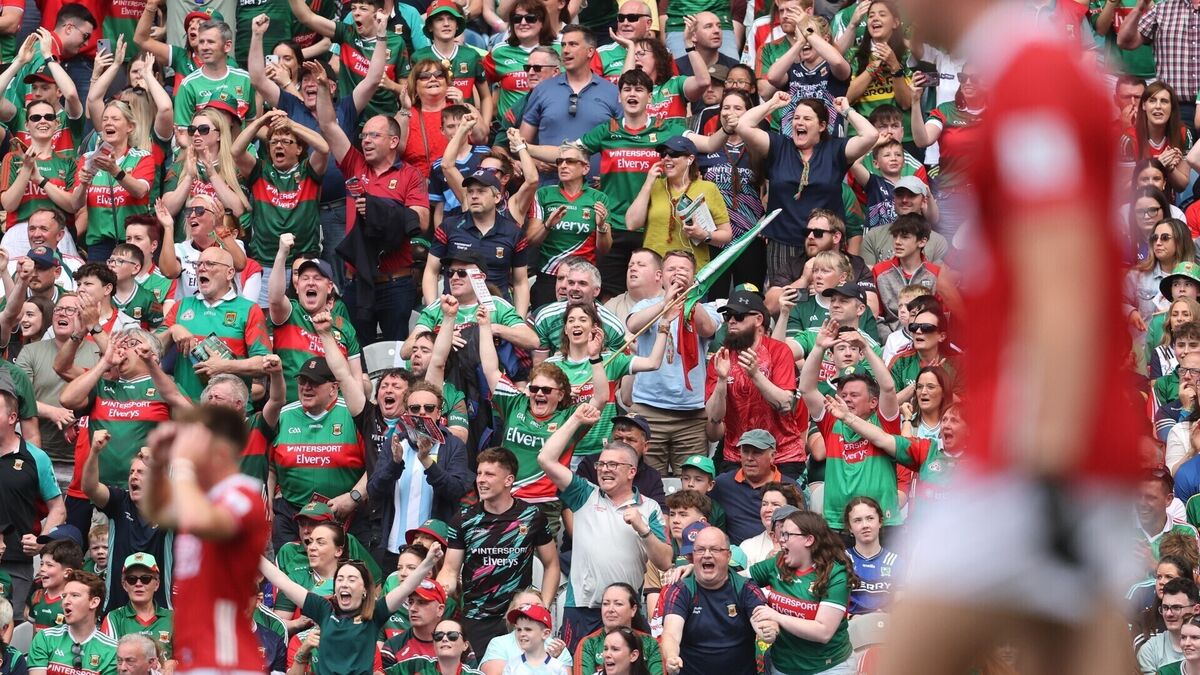 Cork's positive season ends with a missed opportunity in Croke Park