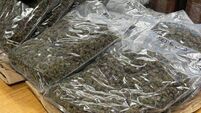 Boxes of cannabis worth €546,000 seized after gardaí search house in The Glen