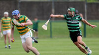 RedFM Hurling League: Blackrock on song as they finish campaign with win over Douglas