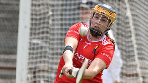 <p>Cork's goalkeeper Amy Lee clears against Waterford during the Glen Dimplex All-Ireland Camogie Championship at Páirc Uí Rinn. Picture: Eddie O'Hare</p>