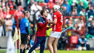 <p>Cork manager Ben O'Connor talks to Tim O'Mahony during the Munster SHC final against Limerick at SuperValu Páirc Uí Chaoimh earlier this month. Picture: Inpho/Morgan Treacy</p>