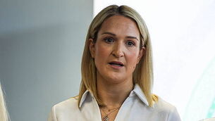 'Ireland has what it needs to deal with any threats during presidency' — McEntee 'Ireland has what it needs to deal with any threats during presidency' — McEntee