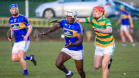 Cork Hurling: Fourth straight year of Division 1 survival for Carrigtwohill, and this was their best yet