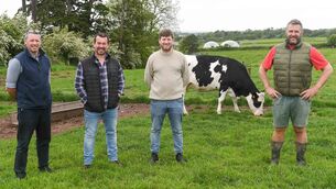 <p> Peter Twomey of Glenbrook Farm, right and Brian Murray of The Glass Curtin restaurant on MacCurtain St Cork, second right, with their friesian cow on Peter's farm in White's Cross. Also included are Glanmire dairy farmer Denis Cashman, second left and Barry Fitzgerald of Fitzgerald's butchers, Fermoy, left. Picture: David Keane.</p>