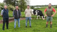 Cork farmers, a butcher, and a chef leading a revolution on food