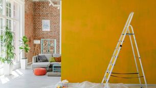 <p>“You paint one wall, stand back, feel briefly satisfied... then the neighbouring wall looks offensive”</p> <p>“You paint one wall, stand back, feel briefly satisfied... then the neighbouring wall looks offensive”</p>