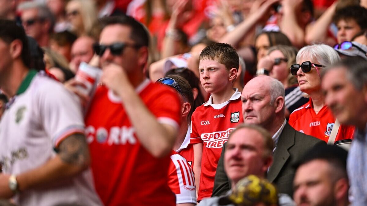Cork hurling fans left with huge questions about Rebels' approach and fragility in devastating loss to Galway
