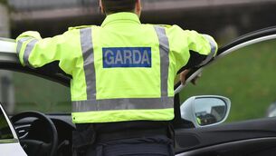 <p>Gardaí are appealing to anyone who may have witnessed the collision to come forward.</p>