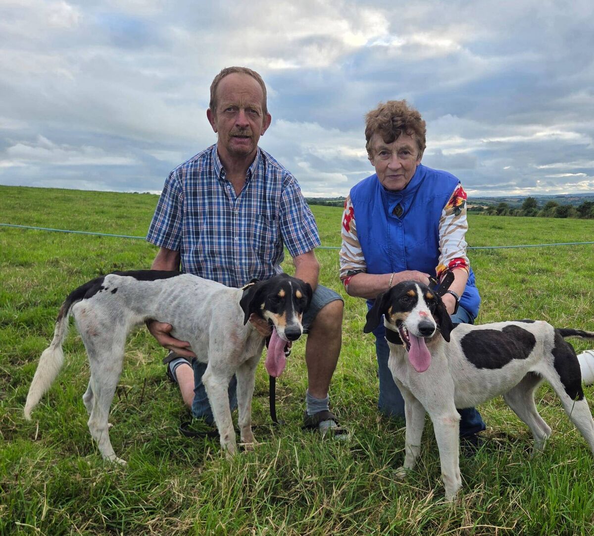 Jerry Murphy and Sheila Cummins of Shanakiel harriers with Naoi's Girl and Naoi's Boy who completed a 1.2 in the Southern/Carrigaline harriers Puppy Maiden draghunt at the Rising Sun. Jerry Murphy and Sheila Cummins of Shanakiel harriers with Naoi's Girl and Naoi's Boy who completed a 1.2 in the Southern/Carrigaline harriers Puppy Maiden draghunt at the Rising Sun.