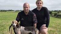  Slievemish Queen produced a high- class finish to win the Southern/Carrigaline harriers Senior draghunt at Ballygarvan on Sunday.