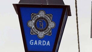 DENIS stock 153 Woman (55) who died in Co Laois assault known to man arrested