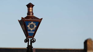 Cannabis worth €1.6 million seized in Cork Cannabis worth €1.6 million seized in Cork