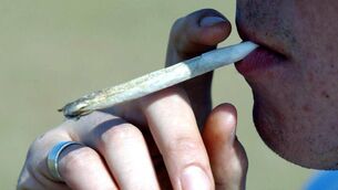 <p>A spokesperson for An Garda Síochána said the seized drugs will be sent to Forensic Science Ireland for analysis. File picture</p>