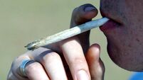 Cannabis research
