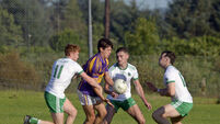 Divisions/Colleges: Carbery take on Muskerry in tasty final pairing 