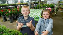 Green-fingered Cork siblings are Woodie’s winners