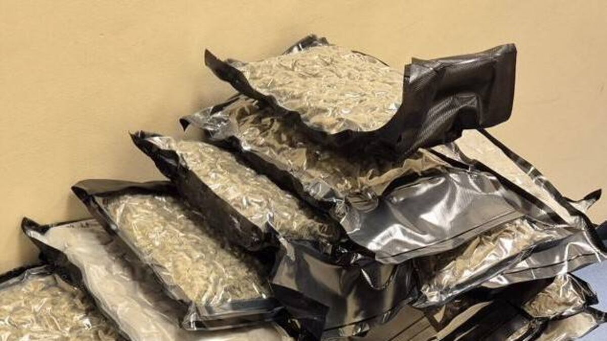 UK resident charged with having €1.6m stash of cannabis