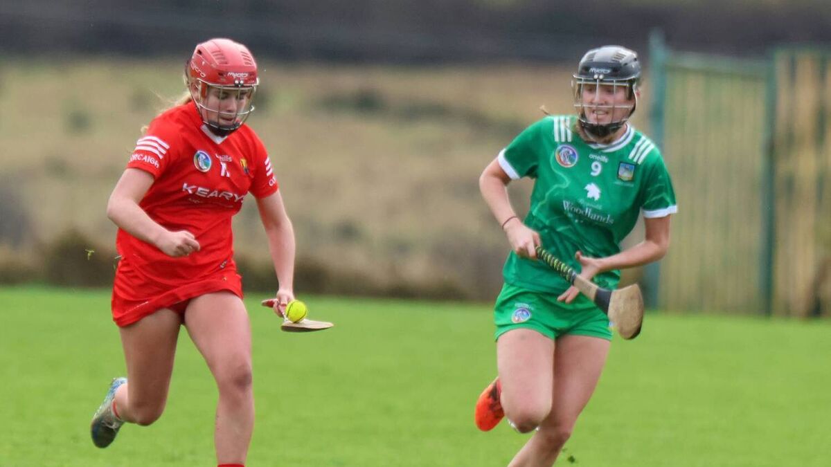 Cork Camogie: Lexi Manley makes All-Star minor team as Bishopstown beat Bride Rovers