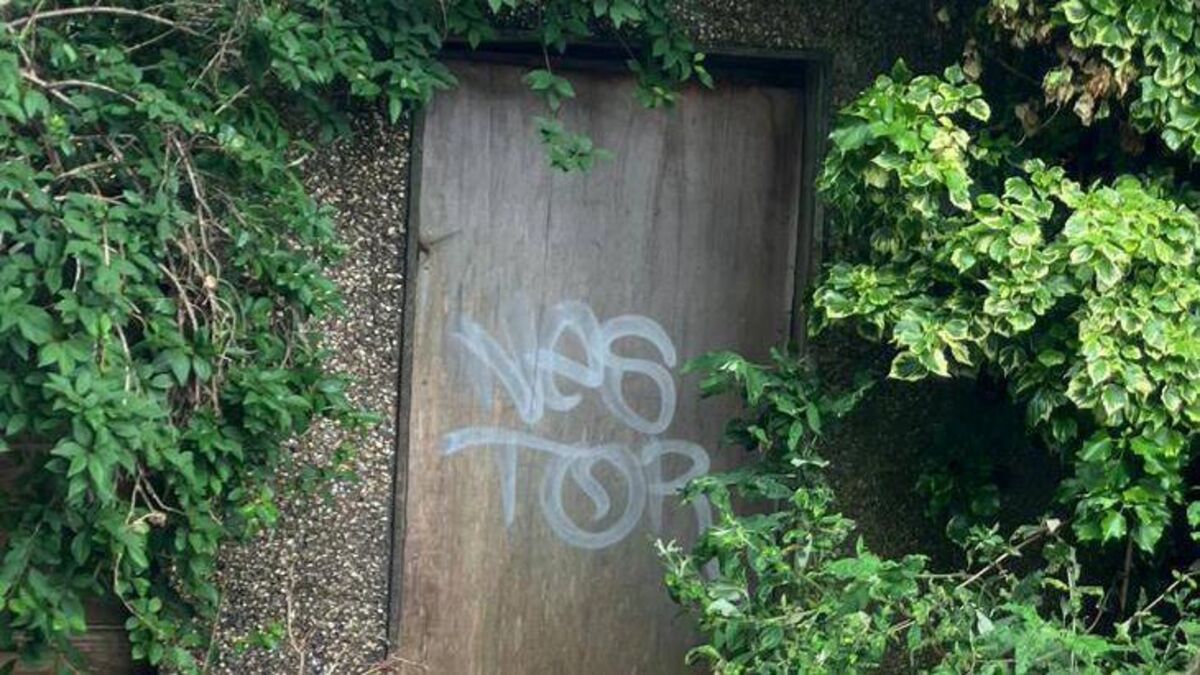 Council given green light to acquire two Cork city derelict sites 