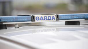 <p>Judge Martina Baxter adjourned the case for finalisation in order for a governor's report and urine analysis to be carried out. </p>