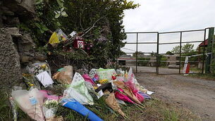 Boy A’s appeal against life sentence for Ana Kriegel murder to be heard next year Boy A’s appeal against life sentence for Ana Kriegel murder to be heard next year