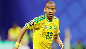 Police investigate death of South Africa World Cup player Jayden Adams Police investigate death of South Africa World Cup player Jayden Adams