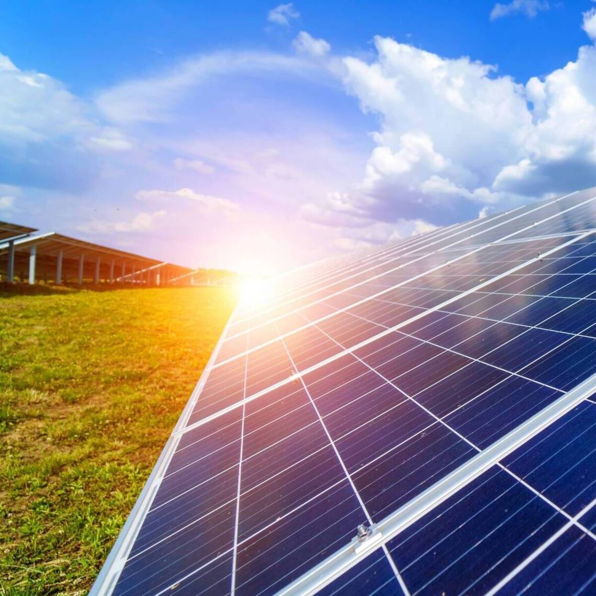 echolive.ie - David Forsythe - Plans lodged for 137-acre solar farm in North Cork