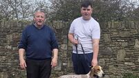 Cork Draghunting called off for first time ever due to blistering heat to protect dogs