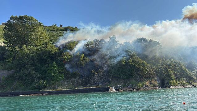 <p>Gorse fire near Crosshaven. Picture from Facebook</p>