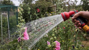 Hosepipe Ban Looms In Drought-hit Britain