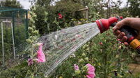 Hosepipe Ban Looms In Drought-hit Britain
