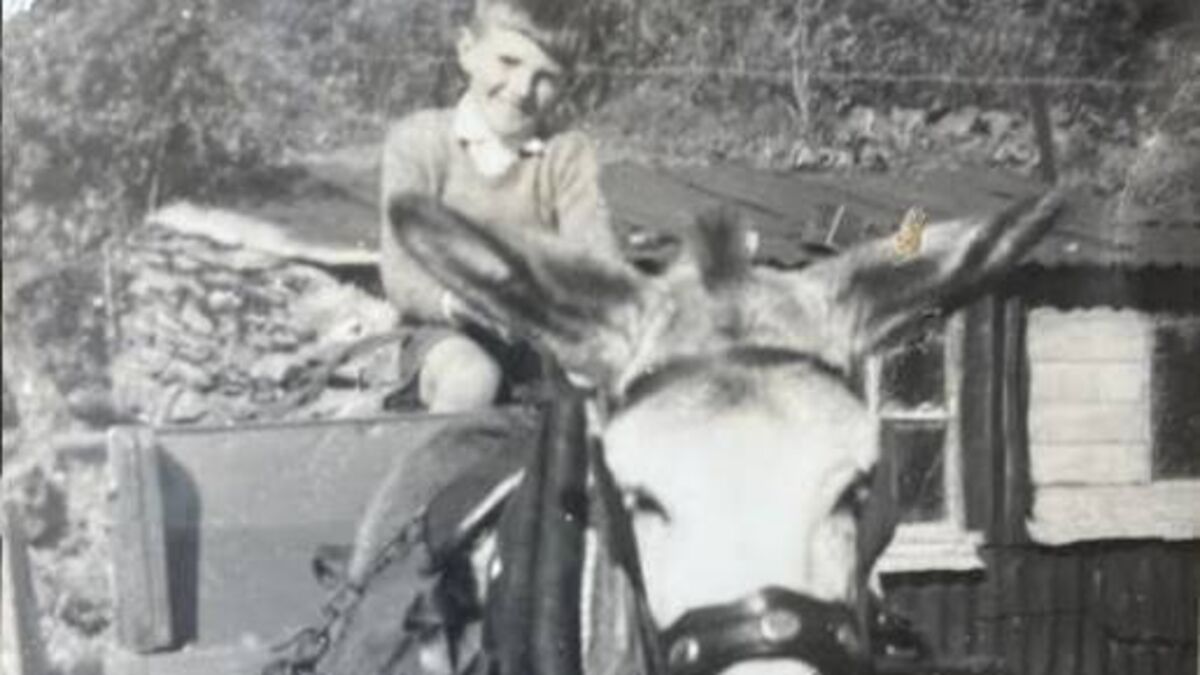 Throwback Thursday: When the horse and cart ruled in Cork