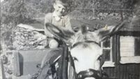 Throwback Thursday: When the horse and cart ruled in Cork