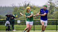 Cork Hurling: Subtle improvements have St Finbarr's well primed for championship