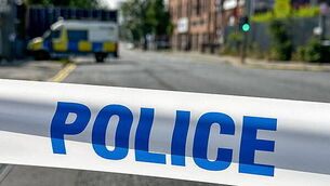 Driver in crash which killed pedestrian was in mental health crisis, court told Driver in crash which killed pedestrian was in mental health crisis, court told