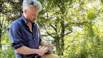 Ed Coveney Stone Mason .jpeg Ballycotton stonemason among eight crafts people chosen for Irish culture exhibition as part of EU presidency