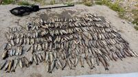 Almost €80k to restore fish stocks after Blackwater incident destroyed over 41,000 fish
