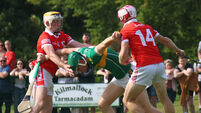 Cork Hurling: Youth serving Charleville well while Patrick Horgan's league campaign proved he's still got it