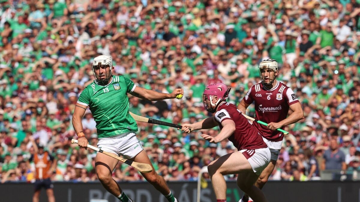 John Horgan on hurling: Cork often rise to Limerick challenge but no one can touch their sustained brilliance