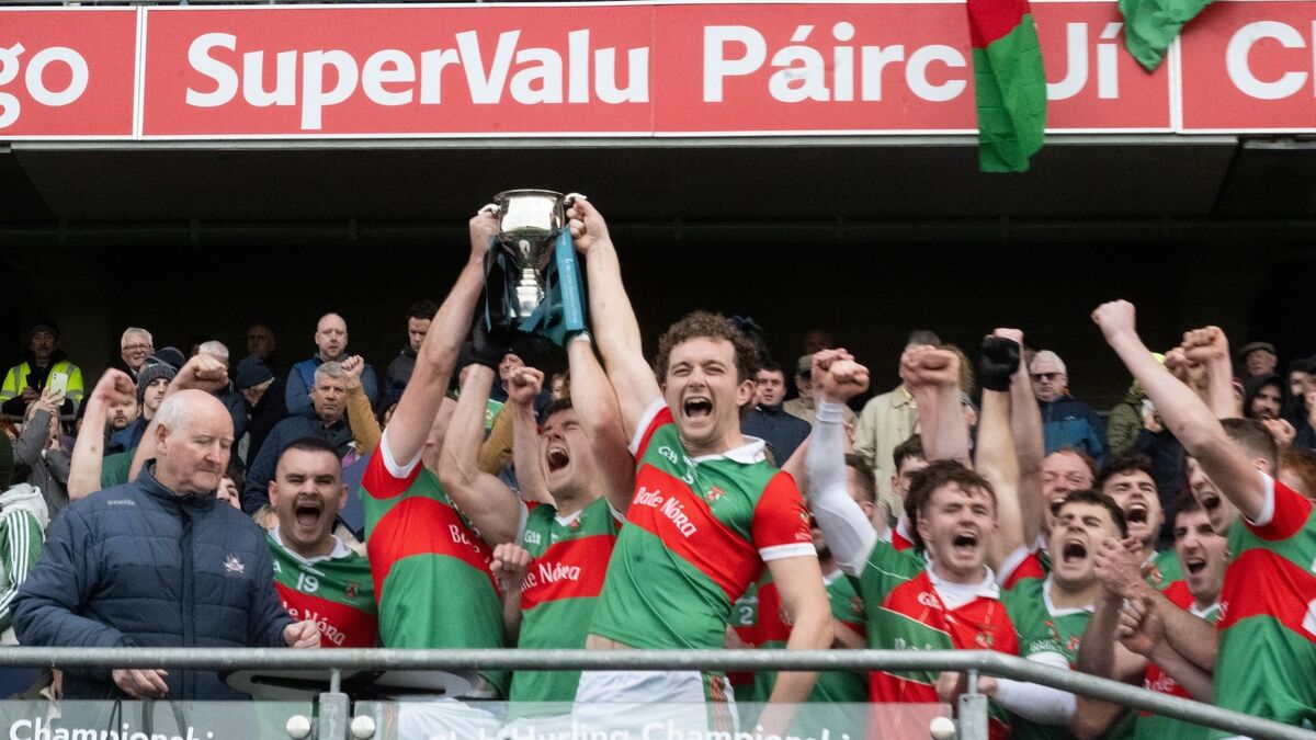 Danny Dineen: Underage surge and county glory have lifted Ballinora